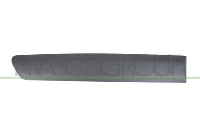 ELEMENTE DECORATIVE/PROTECTIE PORTIERA PRASCO CI9181453