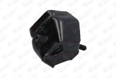 SUPORT MOTOR BIRTH 5273 12