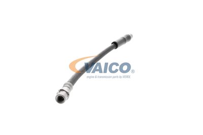 FURTUN FRANA VAICO V250900 50