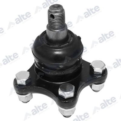 ARTICULATIE SARCINA/GHIDARE