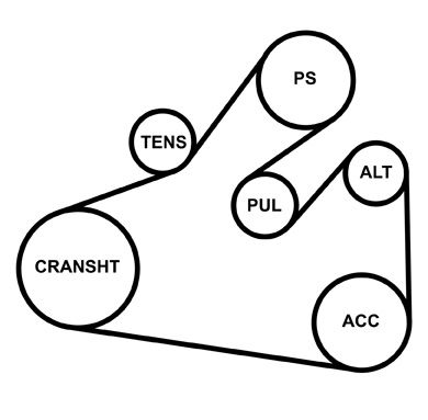 SET CUREA TRANSMISIE CU CANELURI