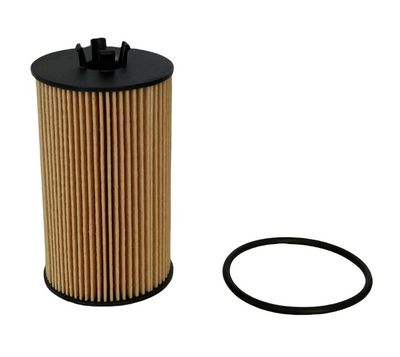 FILTRU ULEI CHAMPION COF100559E 1