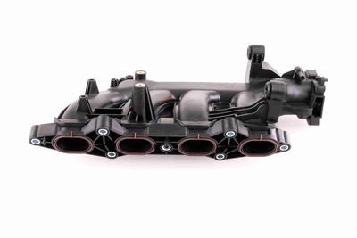 MODUL CONDUCTA ADMISIE VAICO V301074 2