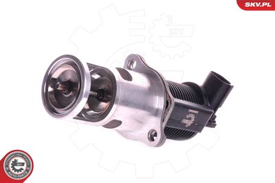 EGR Valve 14SKV011