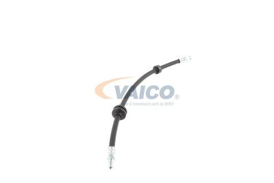 FURTUN FRANA VAICO V240328 41