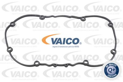 VAICO V10-2558 Прокладка клапанної кришки 