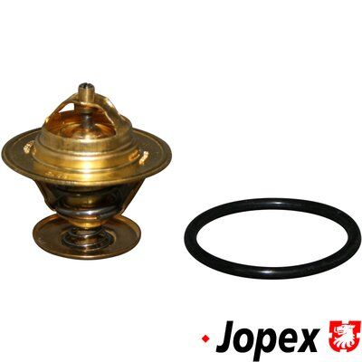 TERMOSTAT LICHID RACIRE