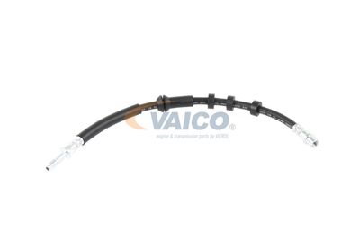 FURTUN FRANA VAICO V104209 49