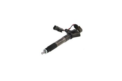 INJECTOR REMANTE 002003001324R 60