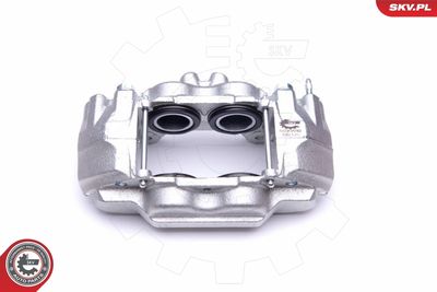 Brake Caliper 50SKV092