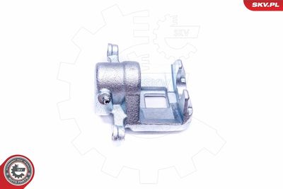 Brake Caliper 42SKV774