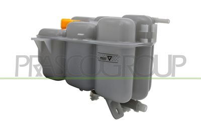 VAS DE EXPANSIUNE RACIRE