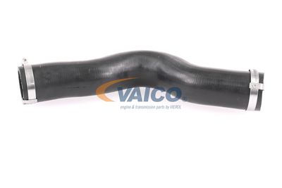 FURTUN EAR SUPRAALIMENTARE VAICO V401448 13