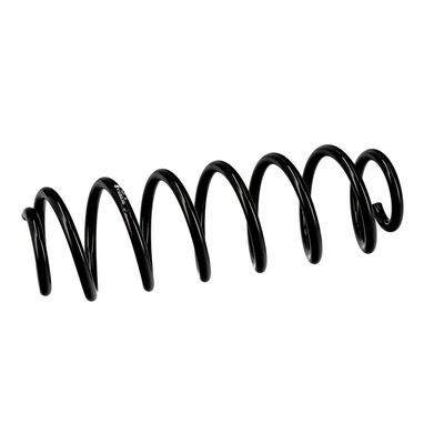 ARC SPIRAL EIBACH R10403 6