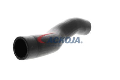 FURTUN EAR SUPRAALIMENTARE ACKOJA A529600 52