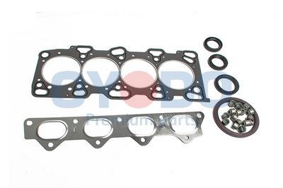 Visas tarpiklių komplektas, variklis