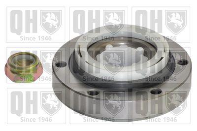 Комплект подшипника ступицы колеса QUINTON HAZELL QWB467 для RENAULT 18
