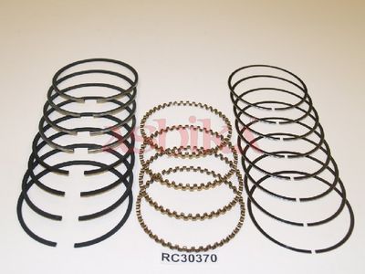 SEGMENT PISTON