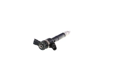 INJECTOR REMANTE 002003002220R 28