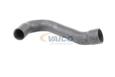 FURTUN EAR SUPRAALIMENTARE VAICO V301795 14