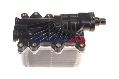 RADIATOR ULEI ULEI MOTOR BOGAP B4222120 4