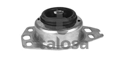 SUPORT TRANSMISIE AUTOMATA