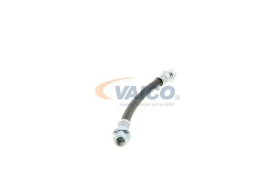 FURTUN FRANA VAICO V404114 50