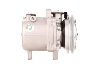 COMPRESOR CLIMATIZARE WALKER WCP00619 1