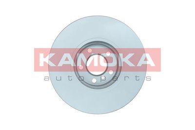 Brake Disc 103637