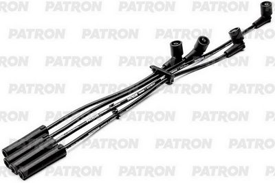 PATRON PSCI2033