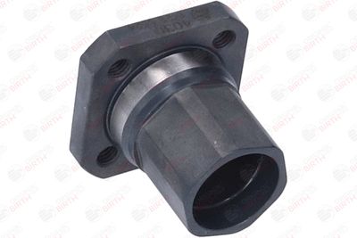 FLANSA LICHID RACIRE BIRTH 4030 12