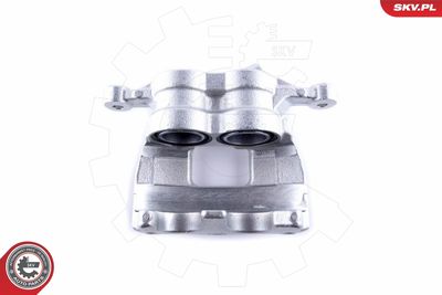 Brake Caliper 50SKV022