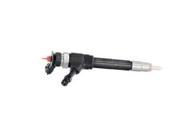 INJECTOR REMANTE 002003001319R 41