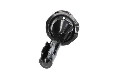 AMORTIZOR Kavo Parts SSA5518 5