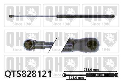 Газовая пружина, капот QUINTON HAZELL QTS828121 для VW EOS