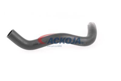 FURTUN RADIATOR ACKOJA A641603 32