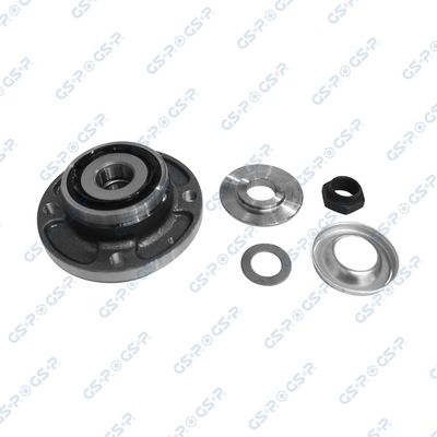 SET RULMENT ROATA GSP 9225032K