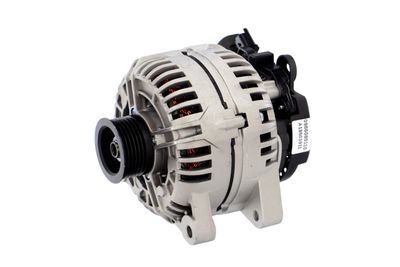 GENERATOR / ALTERNATOR REMANTE 011003000018R 8
