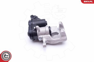 Brake Caliper 42SKV554