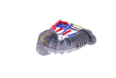 SET REPARATIE SET CABLURI VEMO V10830030 32