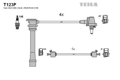 SET CABLAJ APRINDER TESLA T123P