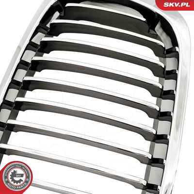 GRILA RADIATOR ESEN SKV 66SKV063 5
