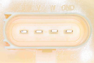 SISTEM ALIMENTARE CU COMBUSTIBIL VEMO V10090018 2