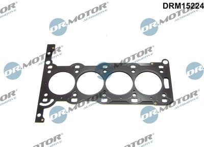 GARNITURA CHIULASA Dr.Motor Automotive DRM15224
