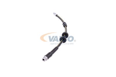 FURTUN FRANA VAICO V240970 15