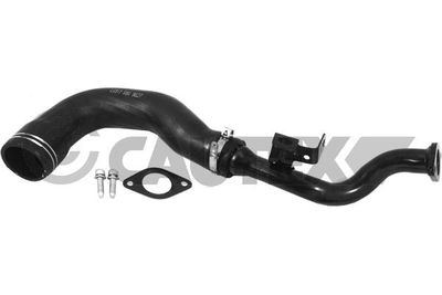 CAUTEX 752999 Турбина для FIAT DOBLO c бортовой платформой/ходовая часть (263_) 1.3 D Multijet