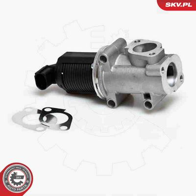 SUPAPA EGR ESEN SKV 14SKV006 2