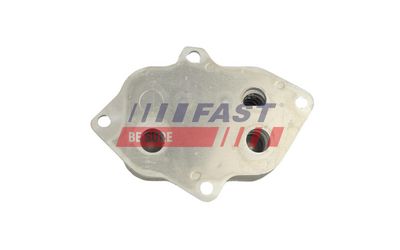 RADIATOR ULEI ULEI MOTOR FAST FT01027 1