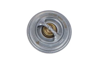 TERMOSTAT LICHID RACIRE NRF 725073 46
