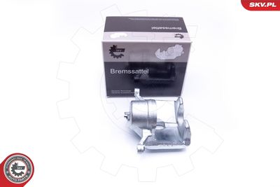 Brake Caliper 42SKV201